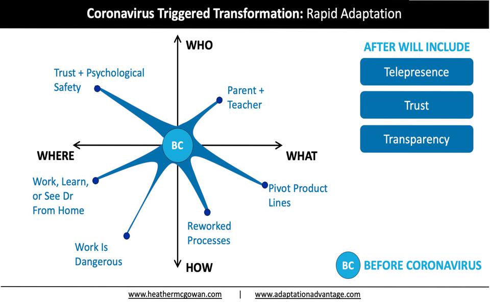 Coronavirus Triggered Transformation: Rapid Adaptation - Human Capital Era