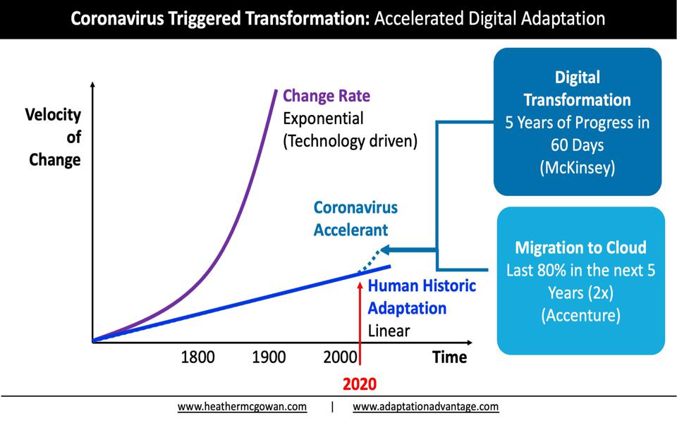 Coronavirus Triggered Transformation: Accelerated Digital Adaptation