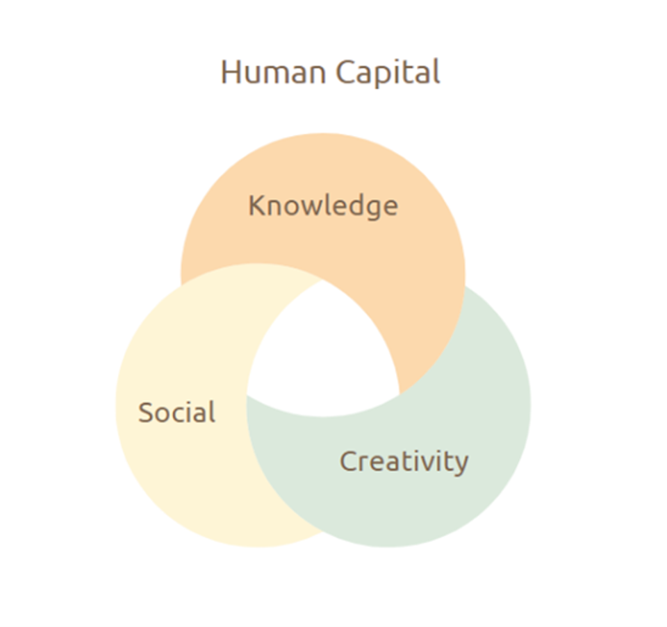 Human Capital: Knowledge Social Creativity