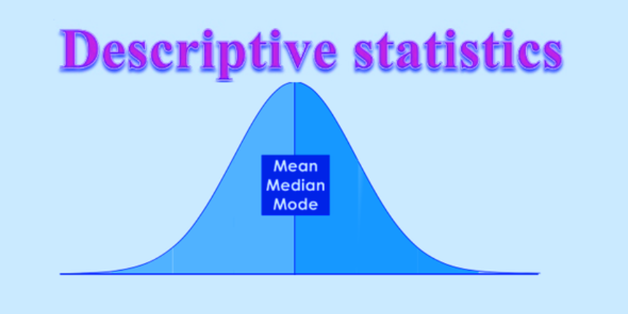 descriptive statistics assignment pdf